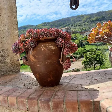 Country House B&B Antica Dimora Del Sole Camerota Exterior photo