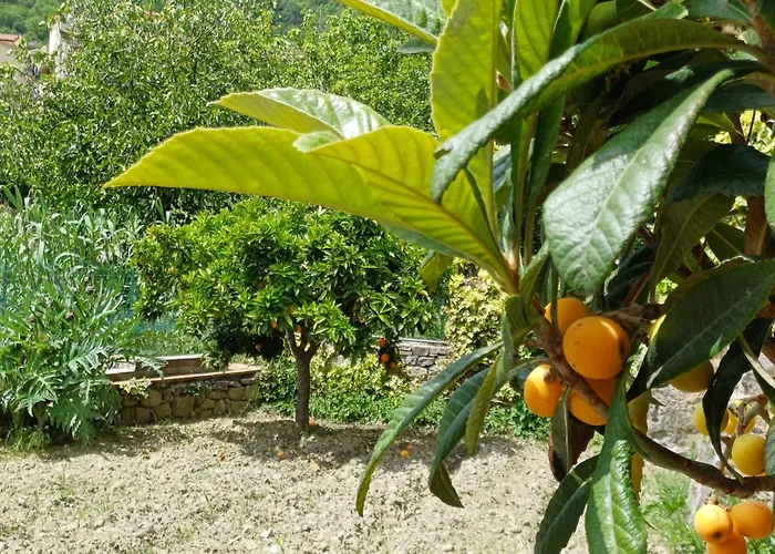 Country House B&B Antica Dimora Del Sole