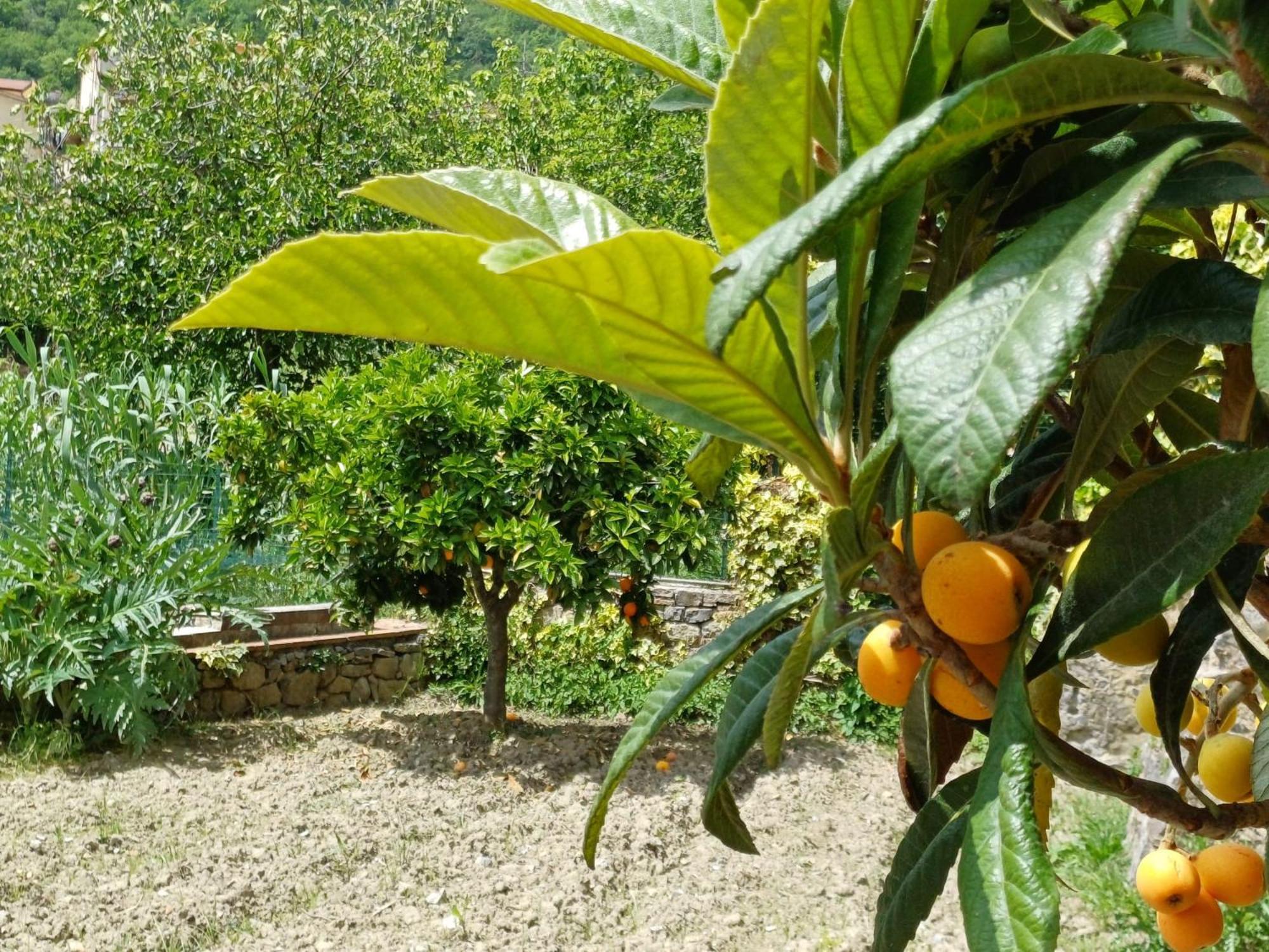 Antica Dimora Del Sole * Camerota